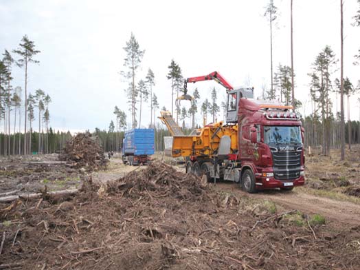 Arbetsrapport Från Skogforsk nr.