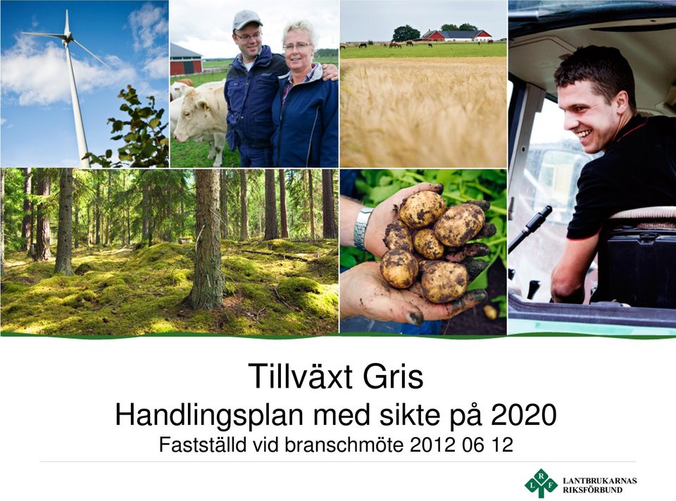 sikte på 2020