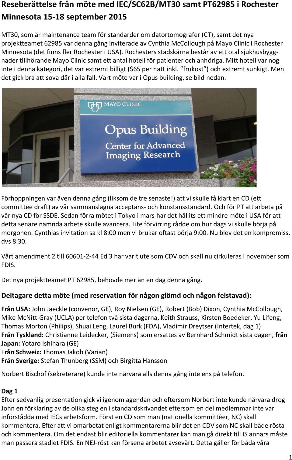 Rochesters stadskärna består av ett otal sjukhusbyggnader tillhörande Mayo Clinic samt ett antal hotell för patienter och anhöriga.