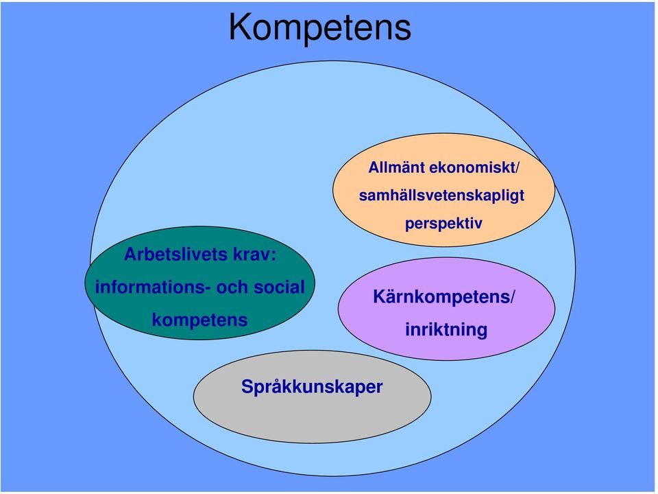 perspektiv informations- och social