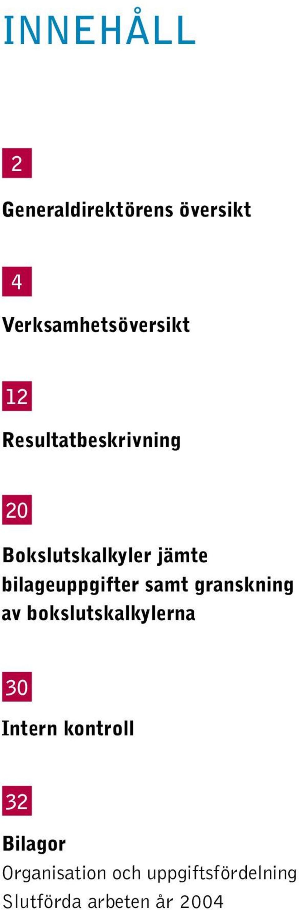 samt granskning av bokslutskalkylerna 30 Intern kontroll 32