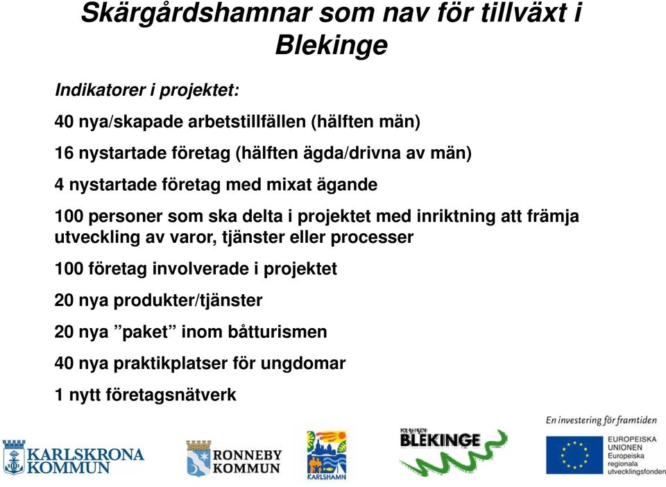 inriktning att främja utveckling av varor, tjänster eller processer 100 företag involverade i projektet