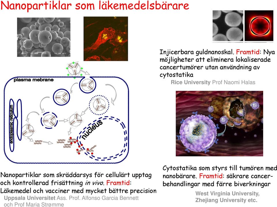 som skräddarsys för cellulärt upptag och kontrollerad frisättning in vivo.