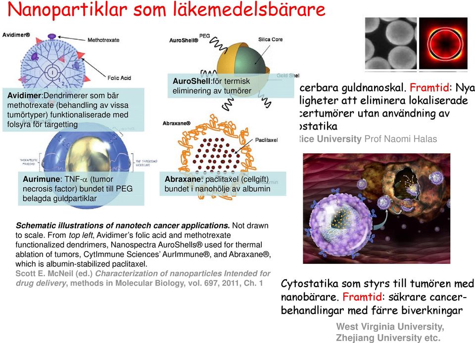 Framtid: Nya möjligheter att eliminera lokaliserade cancertumörer utan användning av cytostatika Rice University Prof Naomi Halas Aurimune: TNF- (tumor necrosis factor) bundet till PEG belagda