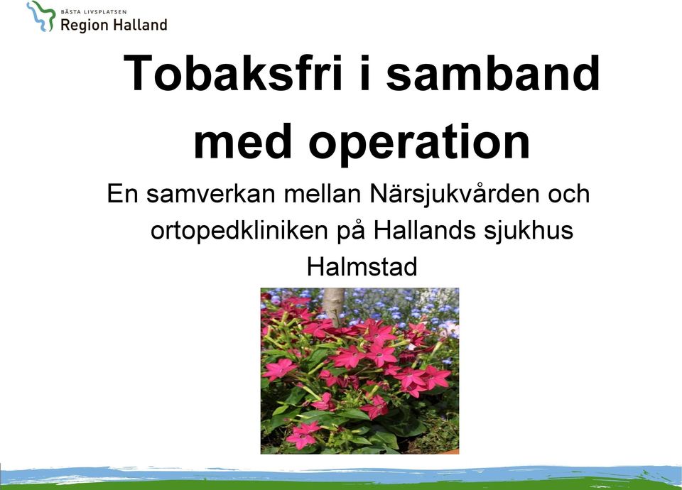 mellan Närsjukvården och