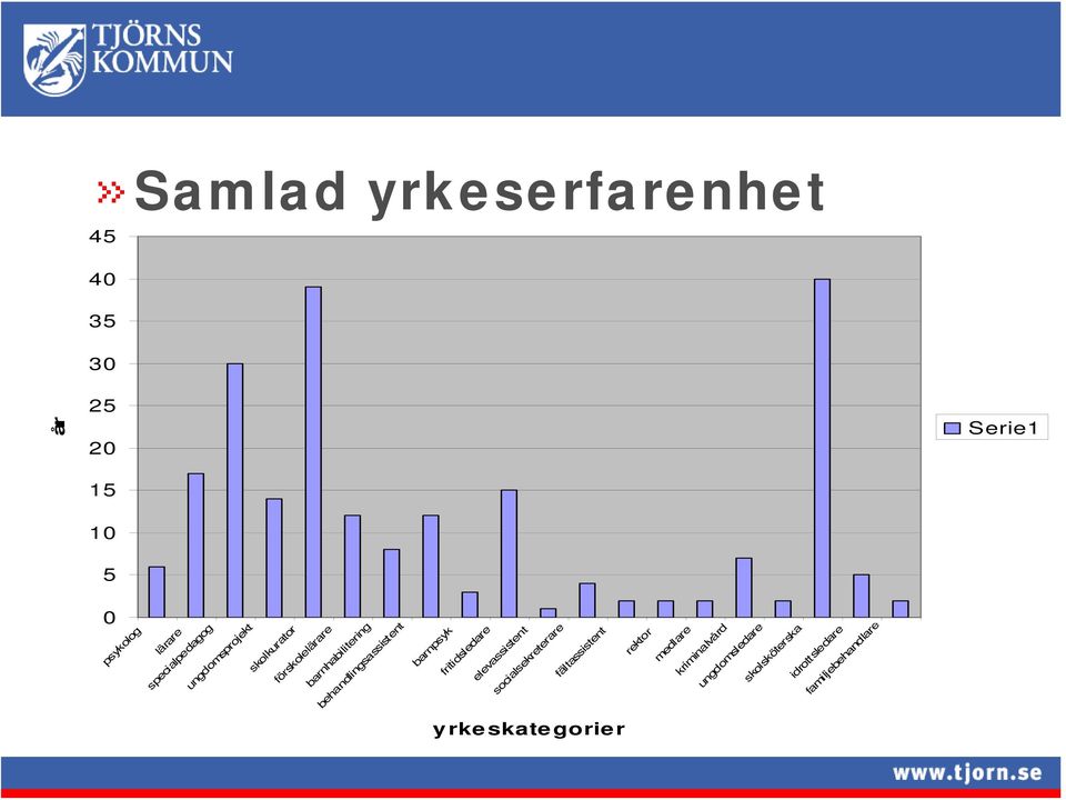 barnpsyk fritidsledare elevassistent socialsekreterare fältassistent rektor medlare