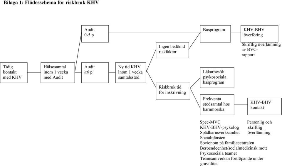 psykosociala basprogram Frekventa stödsamtal hos barnmorska KHV-BHV kontakt Spec-MVC Personlig och KHV-BHV-psykolog skriftlig Spädbarnsverksamhet