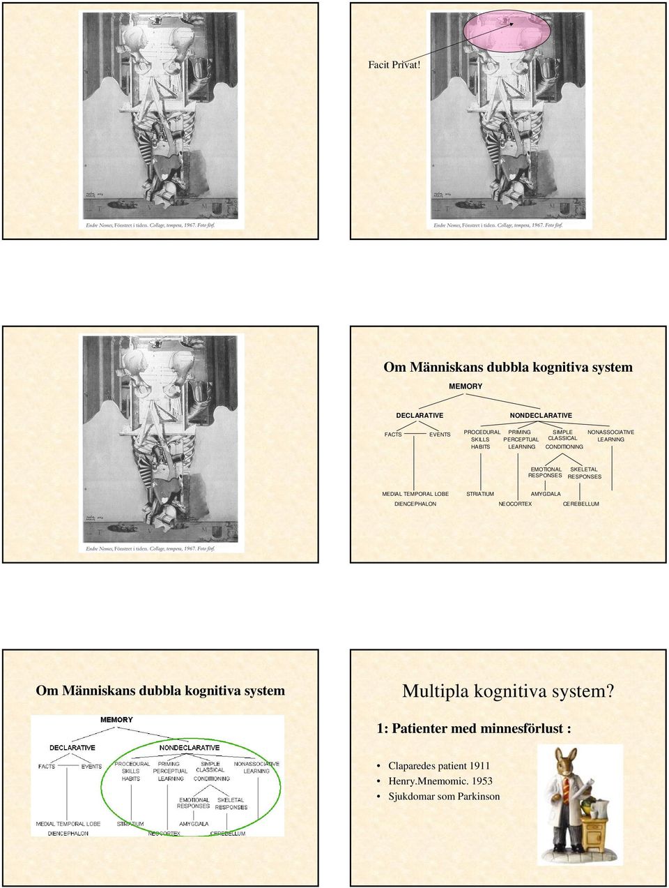 HABITS LEARNING SIMPLE NONASSOCIATIVE CLASSICAL LEARNING CONDITIONING EMOTIONAL RESPONSES SKELETAL RESPONSES MEDIAL