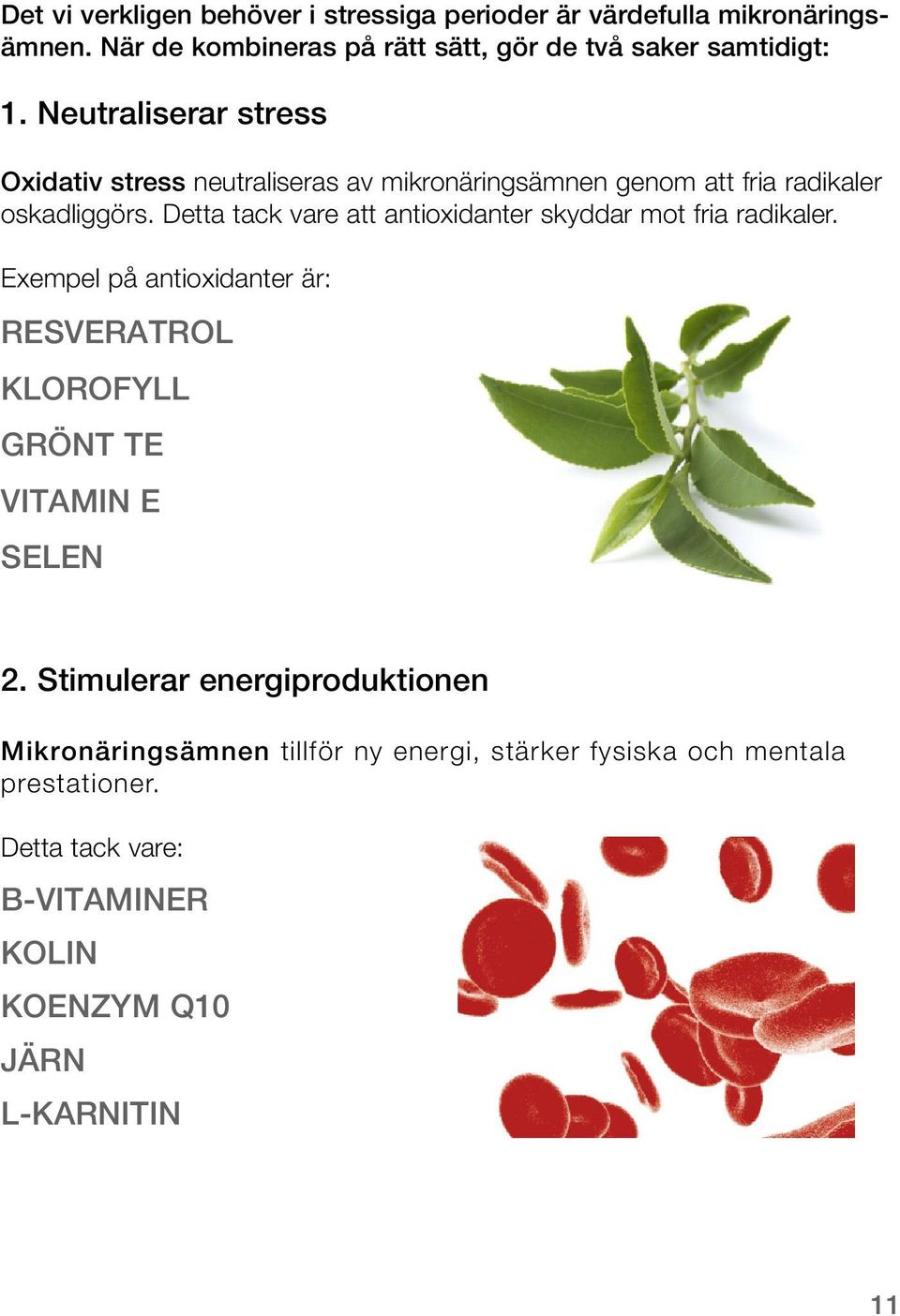 Detta tack vare att antioxidanter skyddar mot fria radikaler. Exempel på antioxidanter är: RESVERATROL KLOROFYLL GRÖNT TE VITAMIN E SELEN 2.