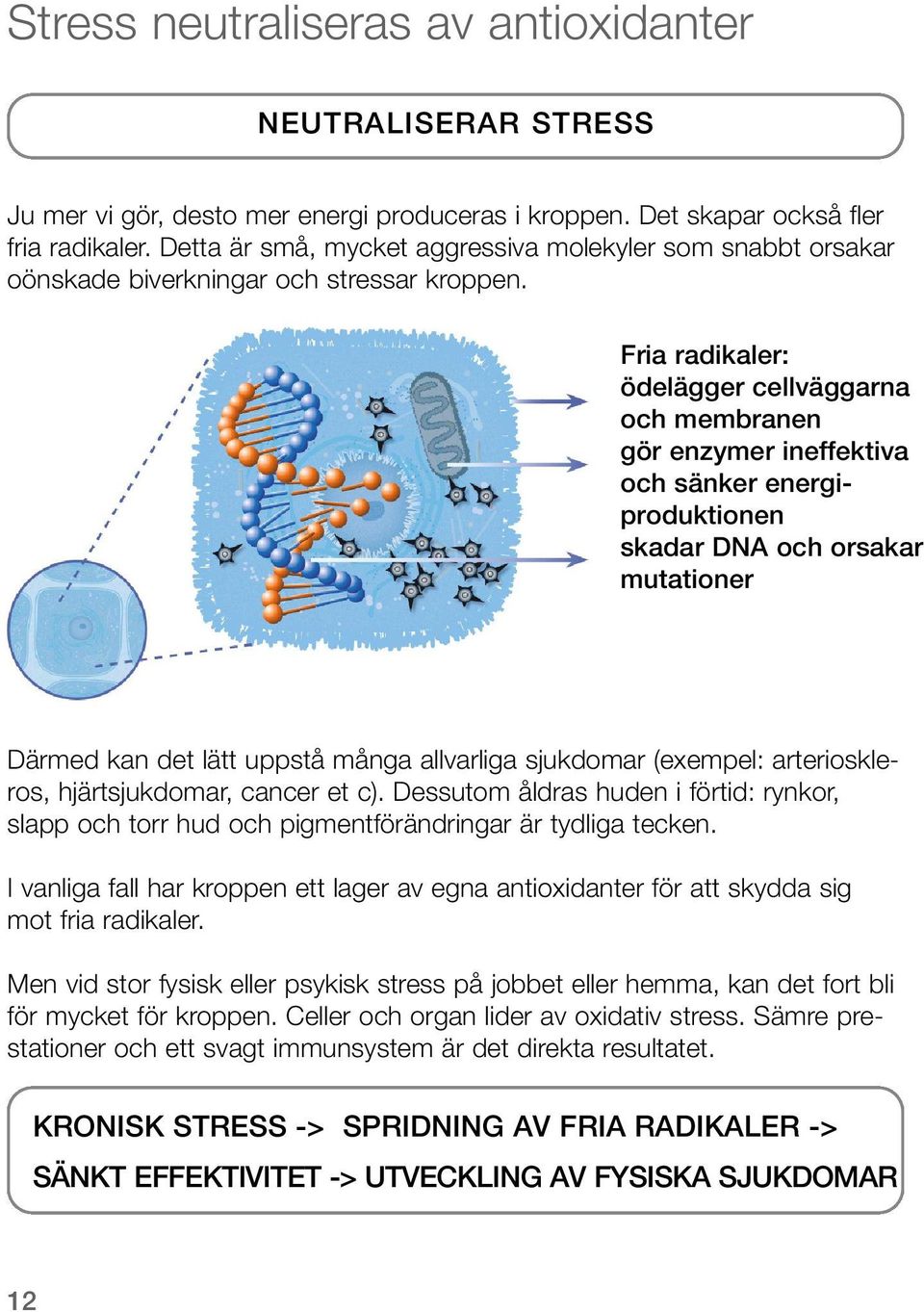 Fria radikaler: ödelägger cellväggarna och membranen gör enzymer ineffektiva och sänker energiproduktionen skadar DNA och orsakar mutationer Därmed kan det lätt uppstå många allvarliga sjukdomar