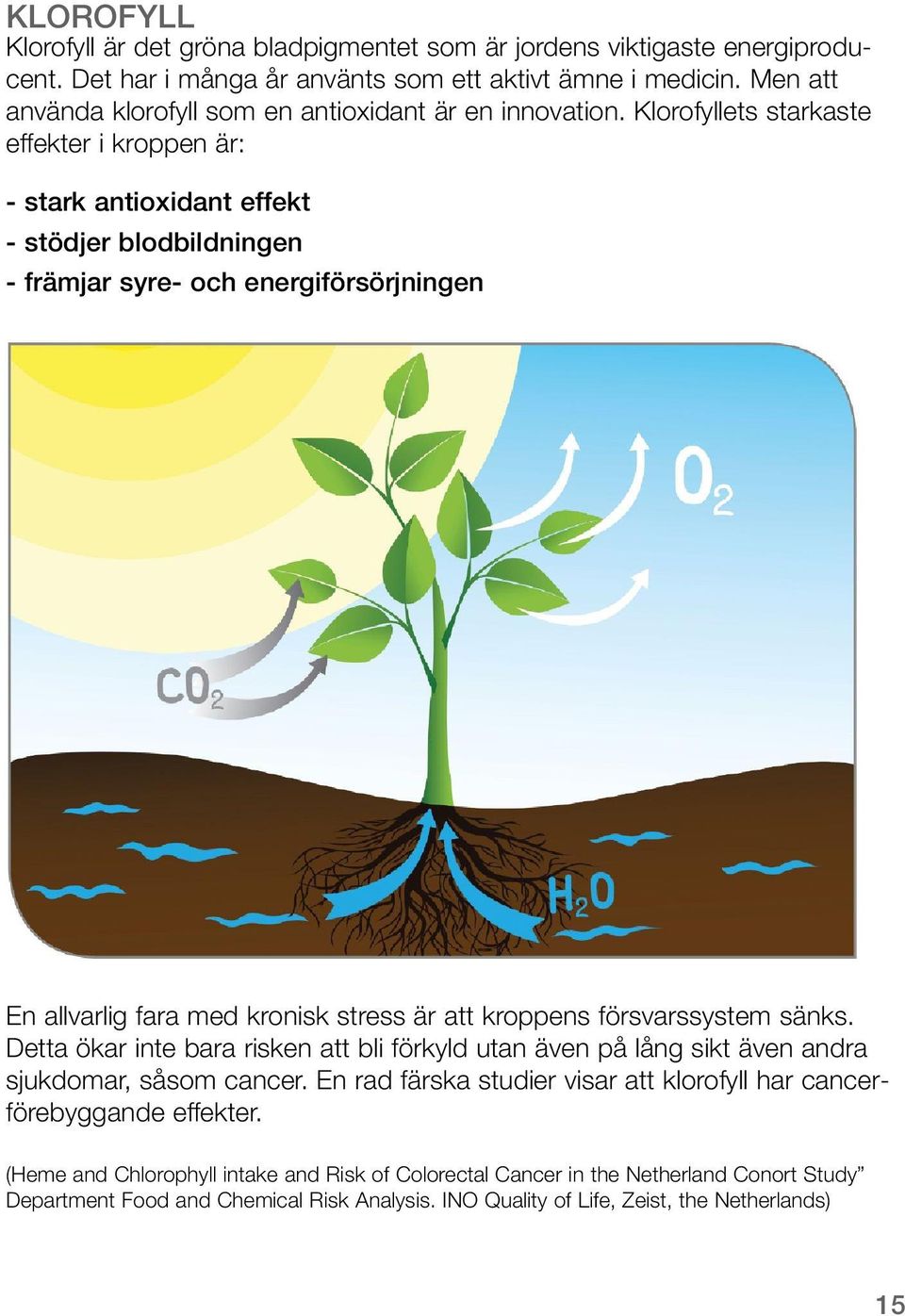 Klorofyllets starkaste effekter i kroppen är: - stark antioxidant effekt - stödjer blodbildningen - främjar syre- och energiförsörjningen En allvarlig fara med kronisk stress är att kroppens