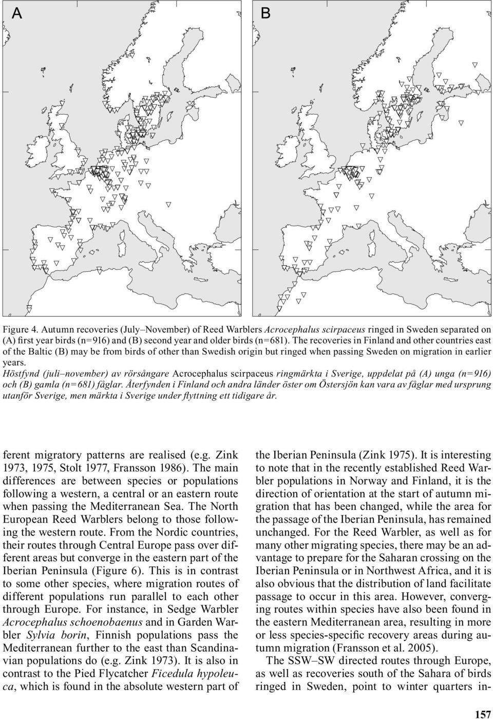 Höstfynd (juli november) av rörsångare Acrocephalus scirpaceus ringmärkta i Sverige, uppdelat på (A) unga (n=916) och (B) gamla (n=681) fåglar.