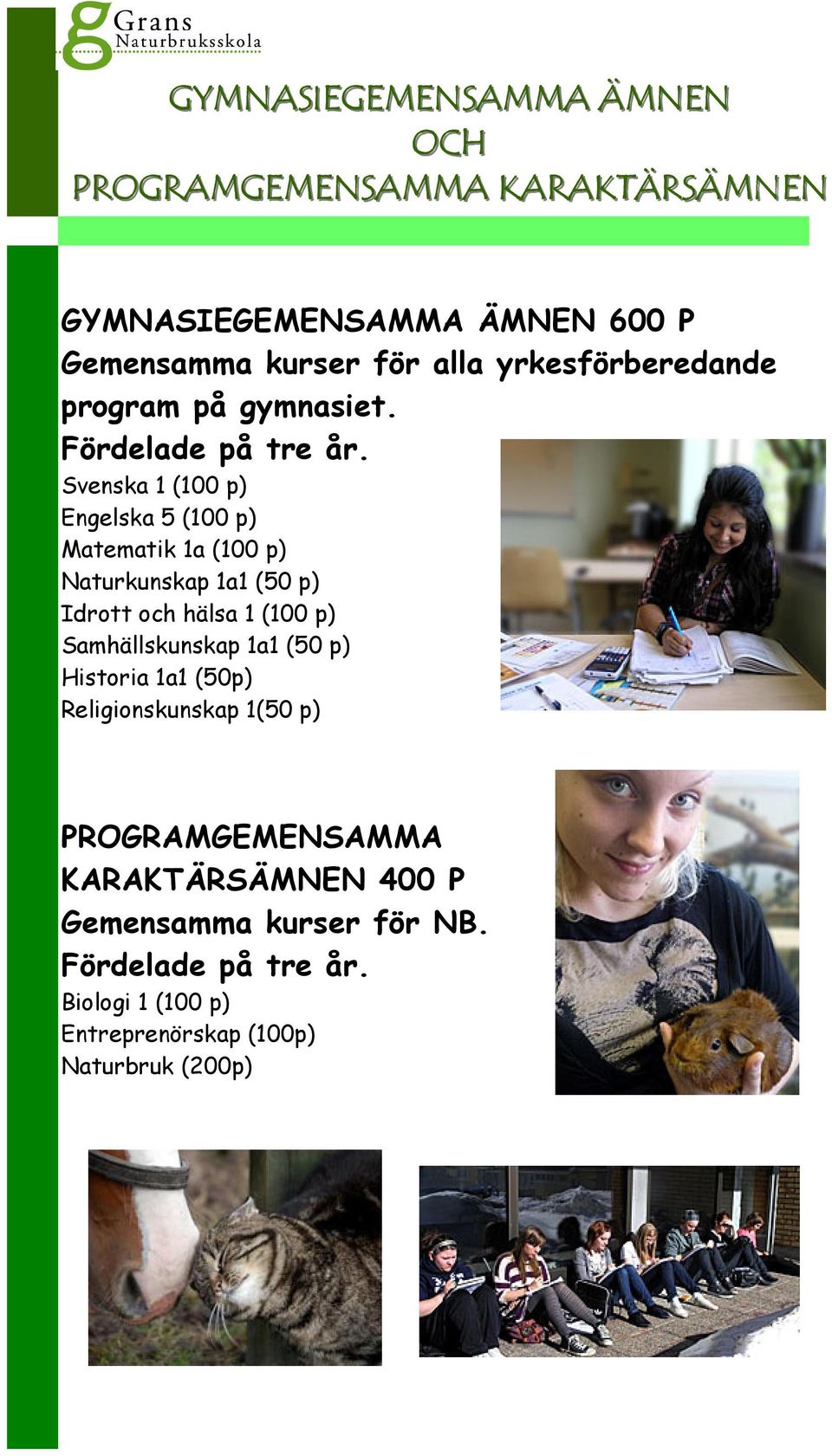 Svenska 1 (100 p) Engelska 5 (100 p) Matematik 1a (100 p) Naturkunskap 1a1 (50 p) Idrott och hälsa 1 (100 p) Samhällskunskap