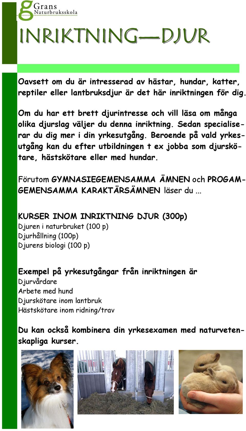 Beroende på vald yrkesutgång kan du efter utbildningen t ex jobba som djurskötare, hästskötare eller med hundar. Förutom GYMNASIEGEMENSAMMA ÄMNEN och PROGAM- GEMENSAMMA KARAKTÄRSÄMNEN läser du.
