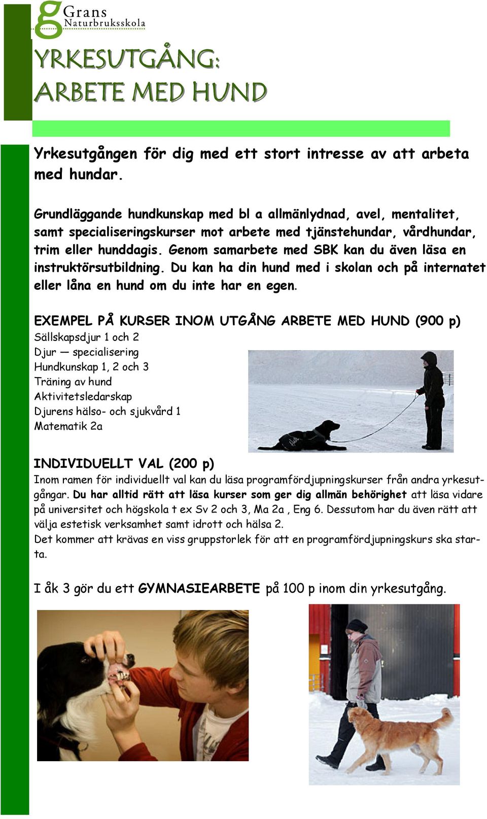 Genom samarbete med SBK kan du även läsa en instruktörsutbildning. Du kan ha din hund med i skolan och på internatet eller låna en hund om du inte har en egen.