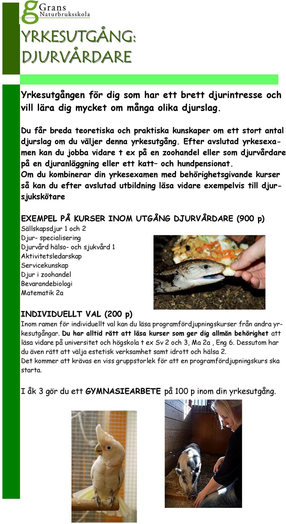 Efter avslutad yrkesexamen kan du jobba vidare t ex på en zoohandel eller som djurvårdare på en djuranläggning eller ett katt och hundpensionat.