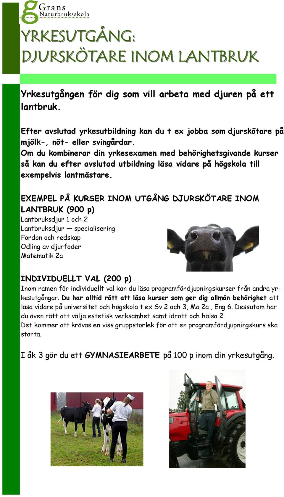 Om du kombinerar din yrkesexamen med behörighetsgivande kurser så kan du efter avslutad utbildning läsa vidare på högskola till exempelvis lantmästare.