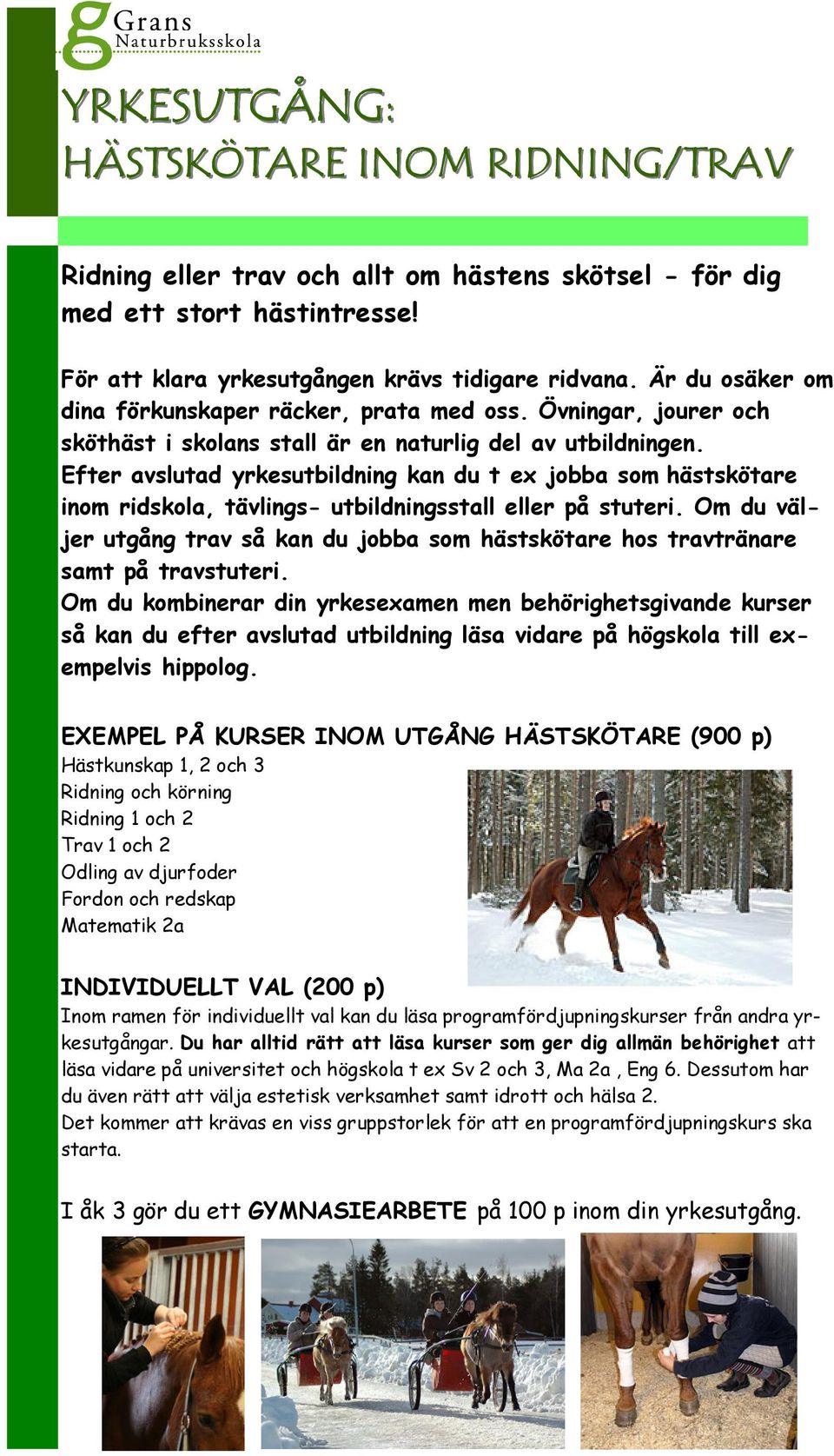 Efter avslutad yrkesutbildning kan du t ex jobba som hästskötare inom ridskola, tävlings- utbildningsstall eller på stuteri.