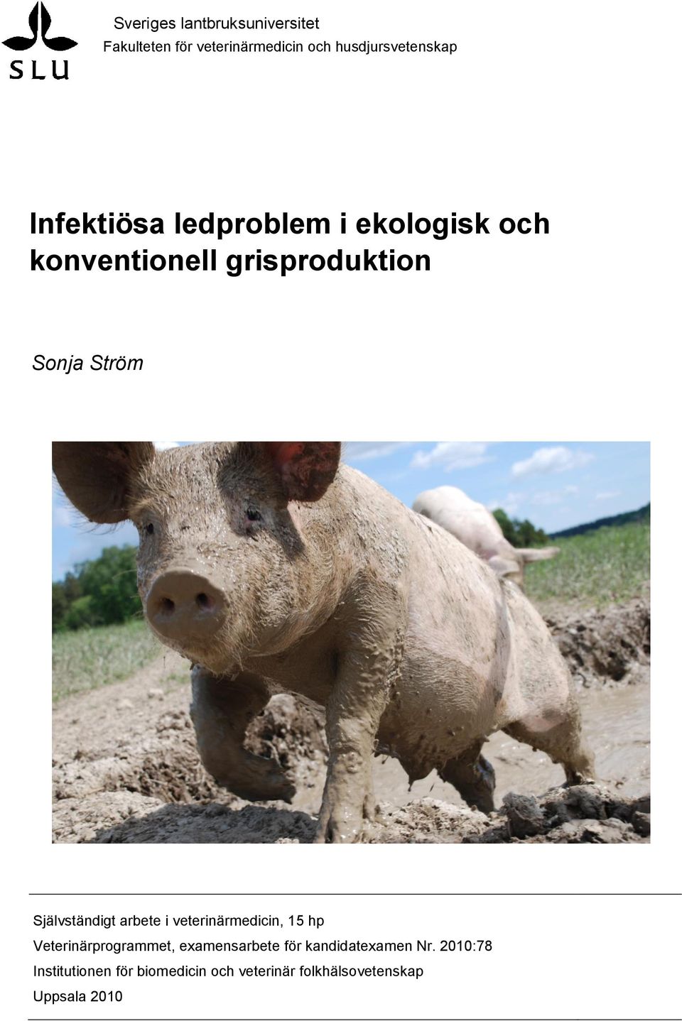 Självständigt arbete i veterinärmedicin, 15 hp Veterinärprogrammet, examensarbete för