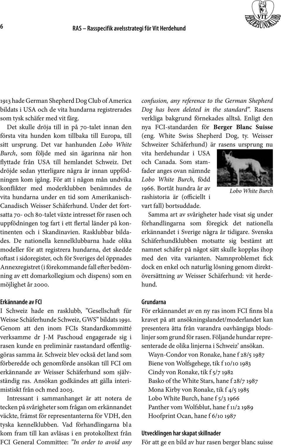 Det var hanhunden Lobo White Burch, som följde med sin ägarinna när hon flyttade från USA till hemlandet Schweiz. Det dröjde sedan ytterligare några år innan uppfödningen kom igång.