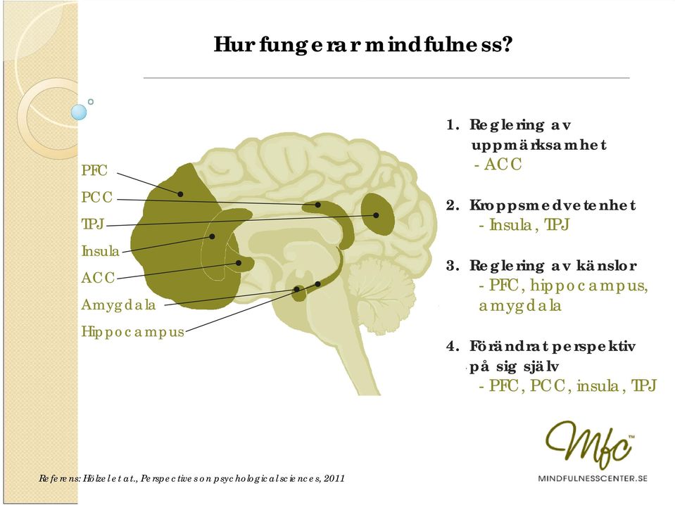 Reglering av känslor - PFC, hippocampus, amygdala 4.