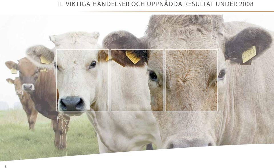 UPPNÅDDA