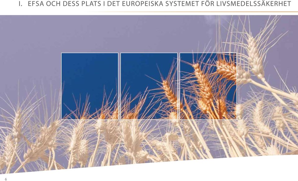 EUROPEISKA