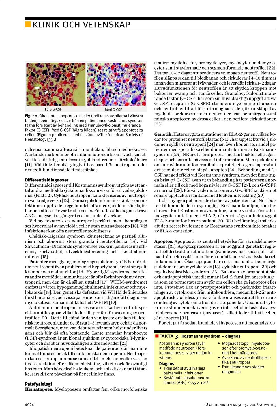 (G-CSF). Med G-CSF (högra bilden) ses relativt få apoptotiska celler. (Figuren publiceras med tillstånd av The American Society of Hematology [35].