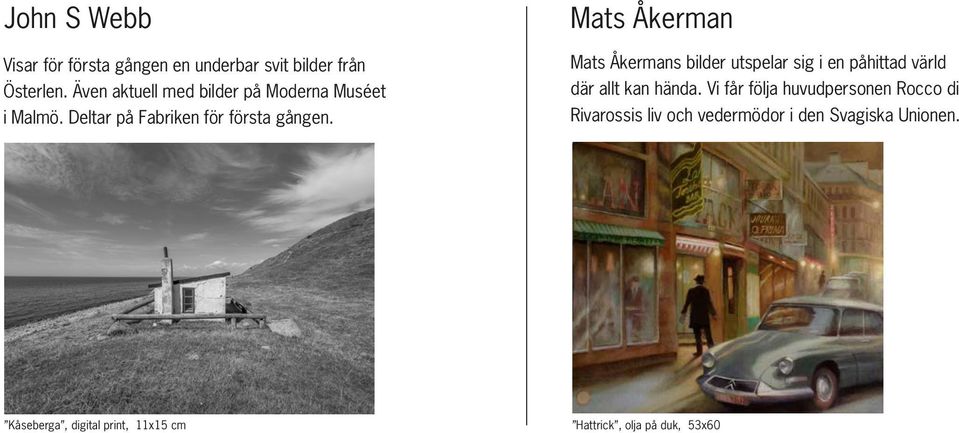 Mats Åkerman Mats Åkermans bilder utspelar sig i en påhittad värld där allt kan hända.