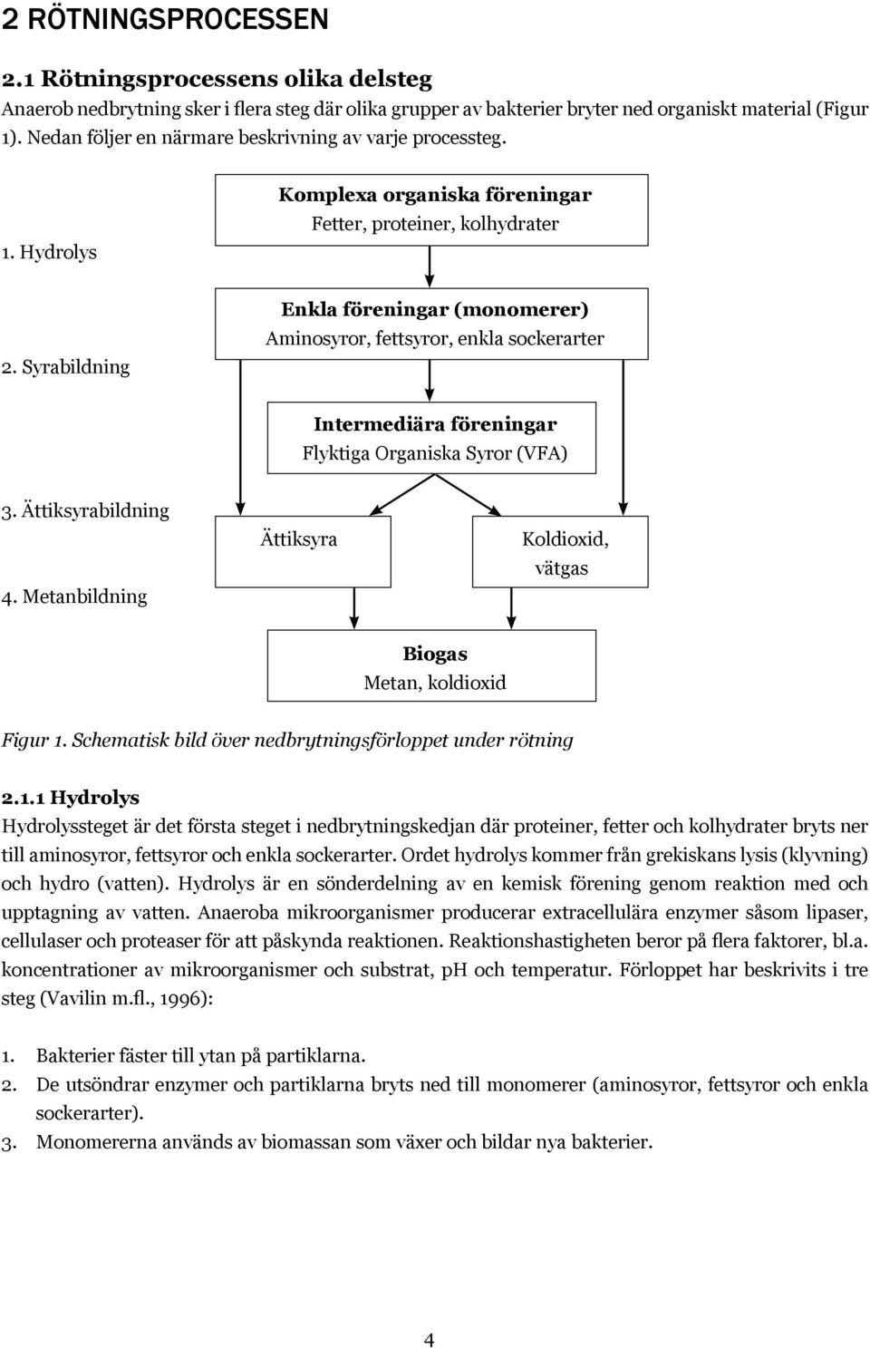 Syrabildning Enkla föreningar (monomerer) Aminosyror, fettsyror, enkla sockerarter Intermediära föreningar Flyktiga Organiska Syror (VFA) 3. Ättiksyrabildning 4.