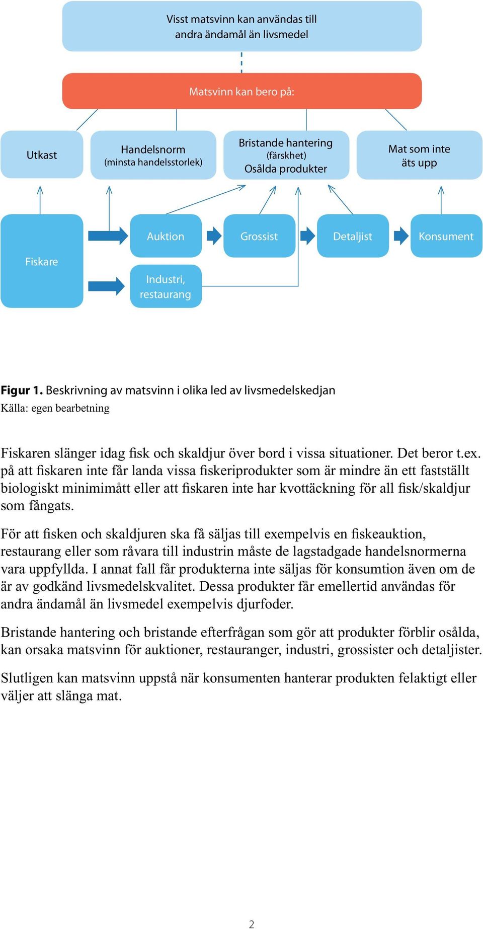 Beskrivning av matsvinn i olika led av livsmedelskedjan Källa: egen bearbetning Fiskaren slänger idag fisk och skaldjur över bord i vissa situationer. Det beror t.ex.
