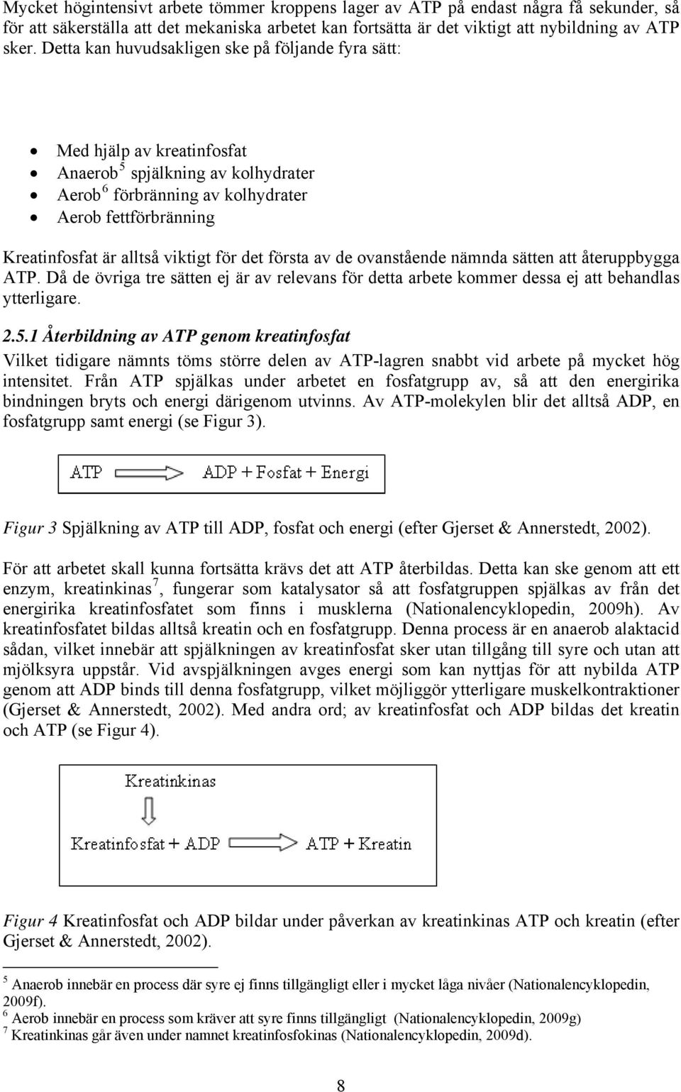 viktigt för det första av de ovanstående nämnda sätten att återuppbygga ATP. Då de övriga tre sätten ej är av relevans för detta arbete kommer dessa ej att behandlas ytterligare. 2.5.