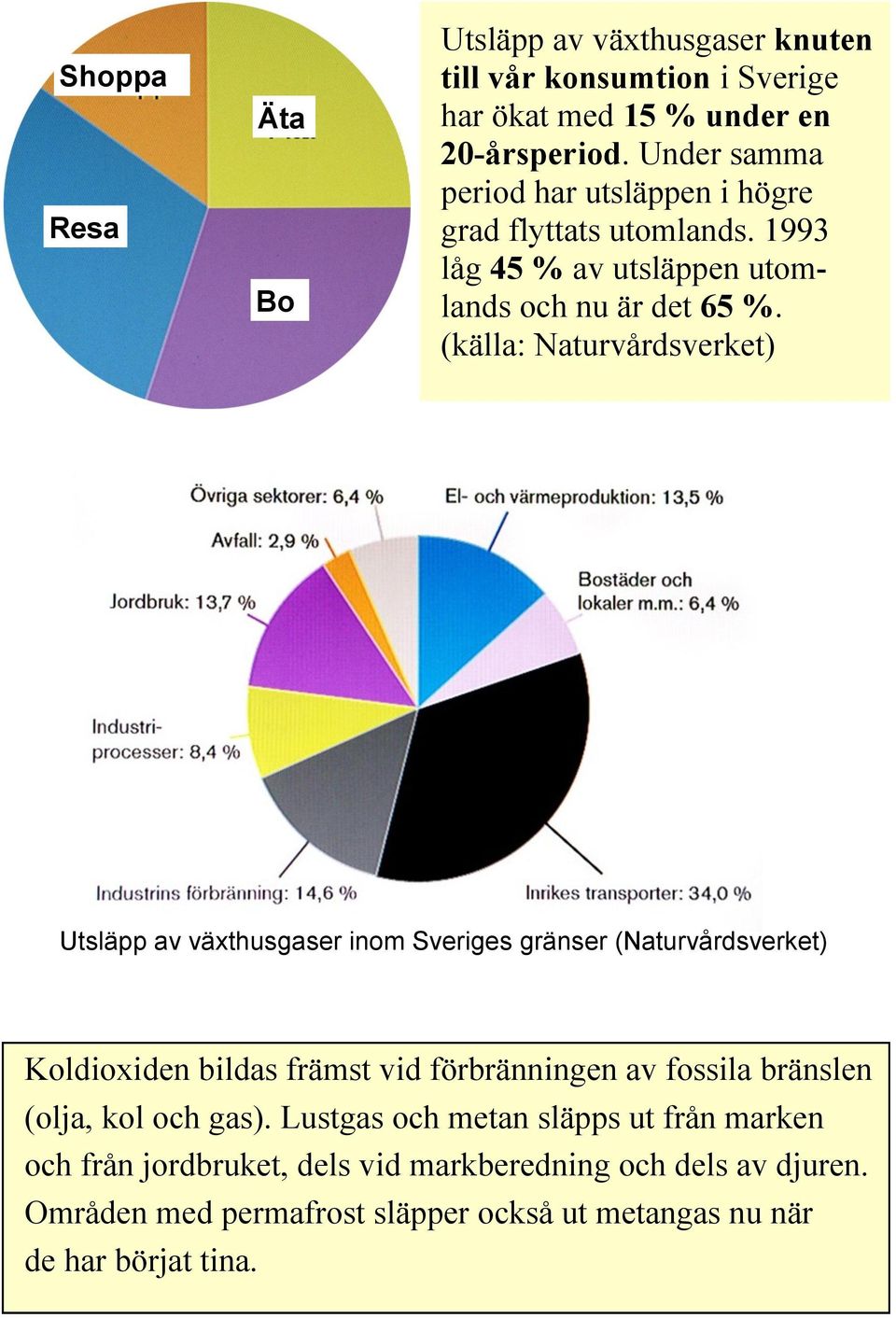 (källa: Naturvårdsverket) Utsläpp av växthusgaser inom Sveriges gränser (Naturvårdsverket) Koldioxiden bildas främst vid förbränningen av fossila