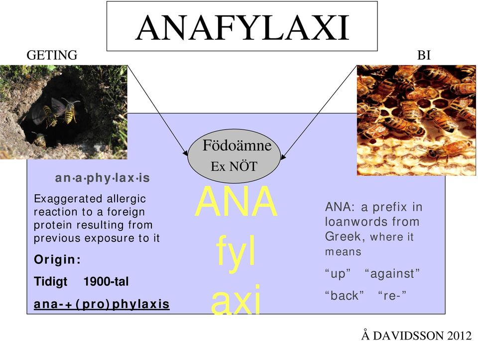 Tidigt 1900-tal ana-+(pro)phylaxis Födoämne Ex NÖT ANA fyl axi ANA: