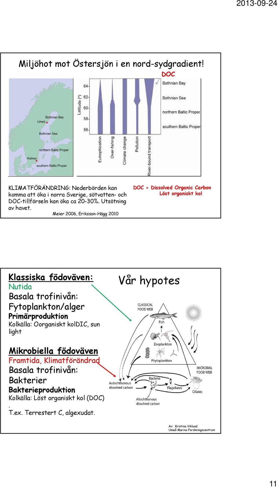 Meier 2006, Eriksson-Hägg 2010 DOC = Dissolved Organic Carbon Löst organiskt kol Klassiska födoväven: Nutida Basala trofinivån: Fytoplankton/alger