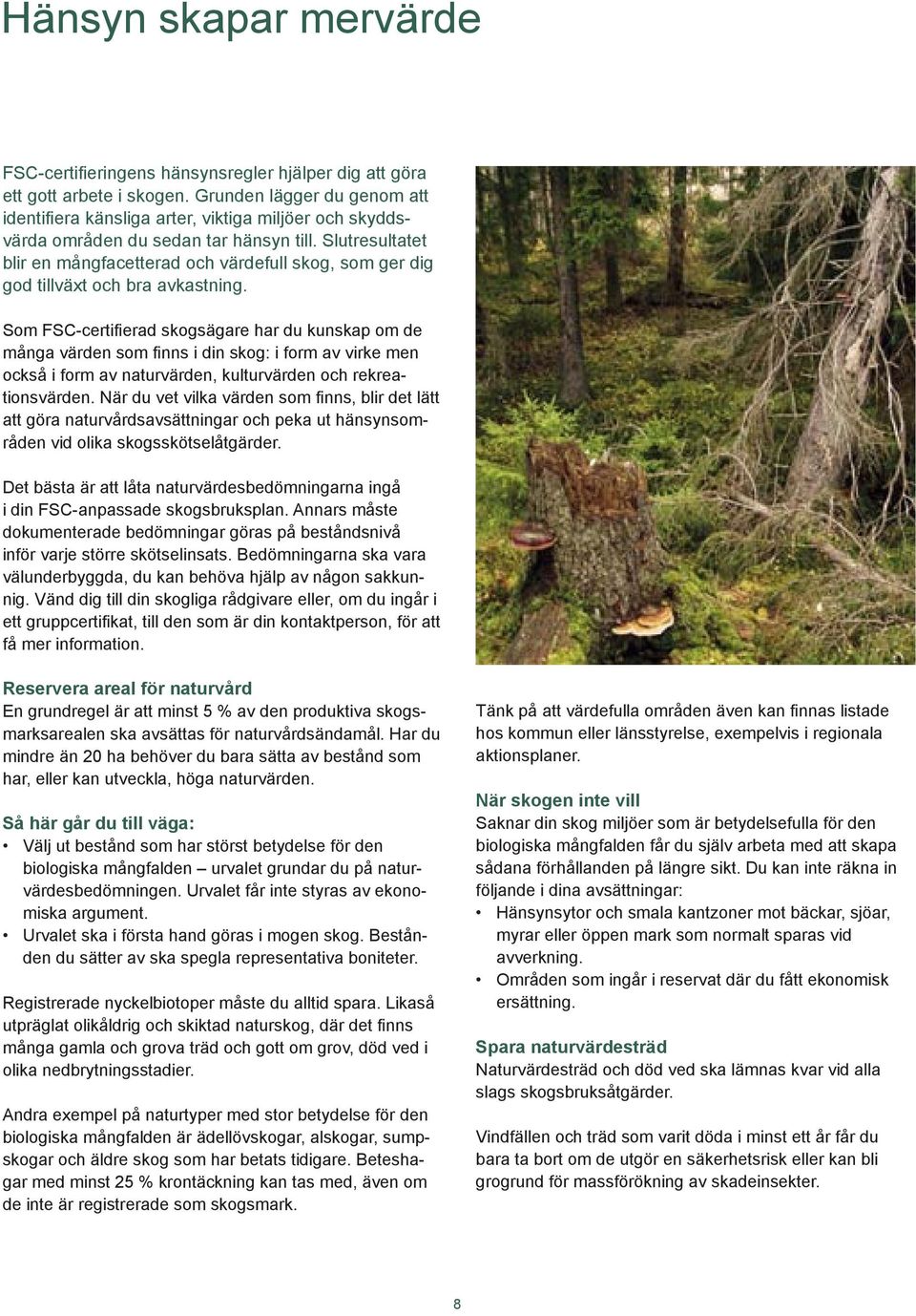 Slutresultatet blir en mångfacetterad och värdefull skog, som ger dig god tillväxt och bra avkastning.