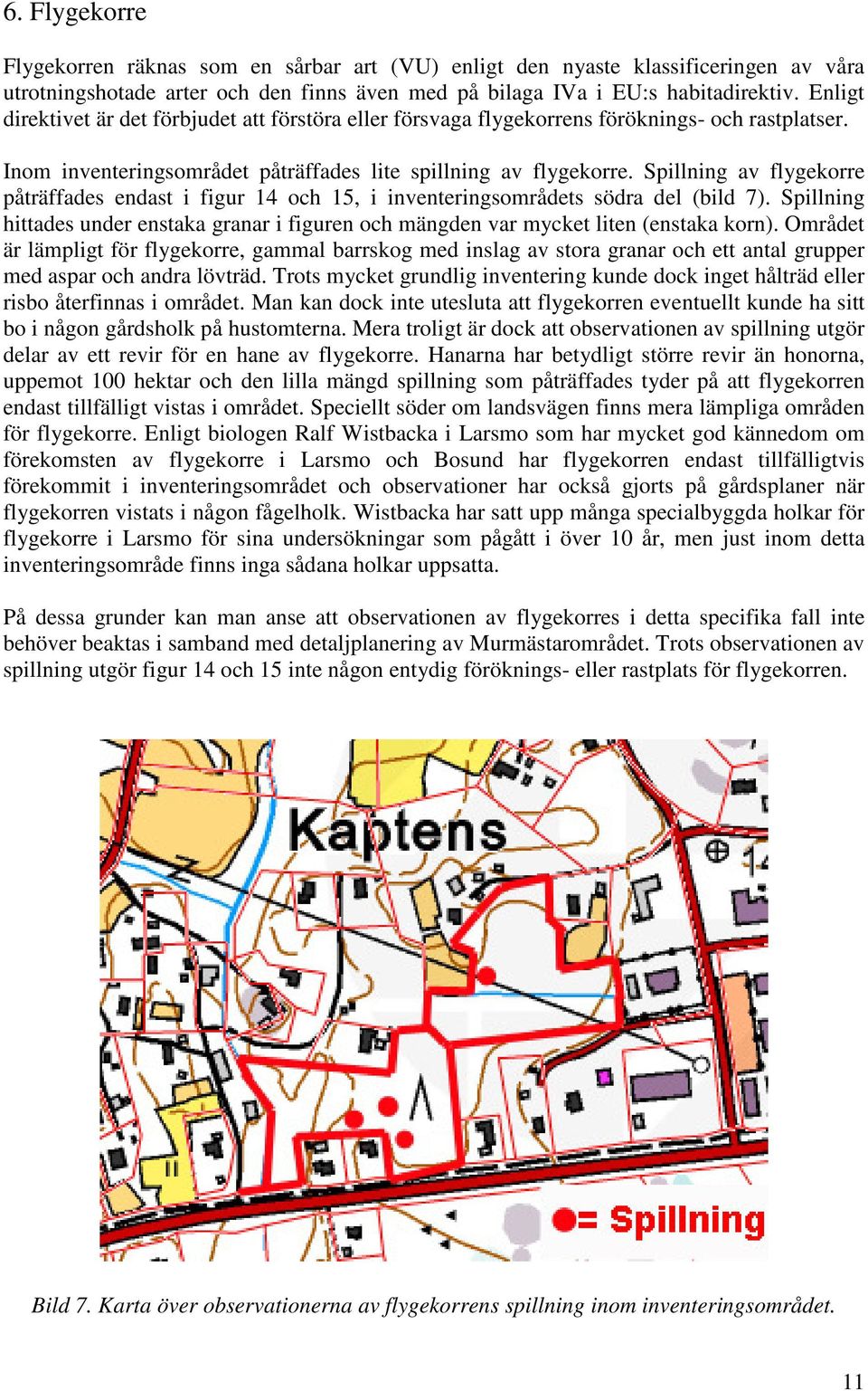 Spillning av flygekorre påträffades endast i figur 14 och 15, i inventeringsområdets södra del (bild 7). Spillning hittades under enstaka granar i figuren och mängden var mycket liten (enstaka korn).