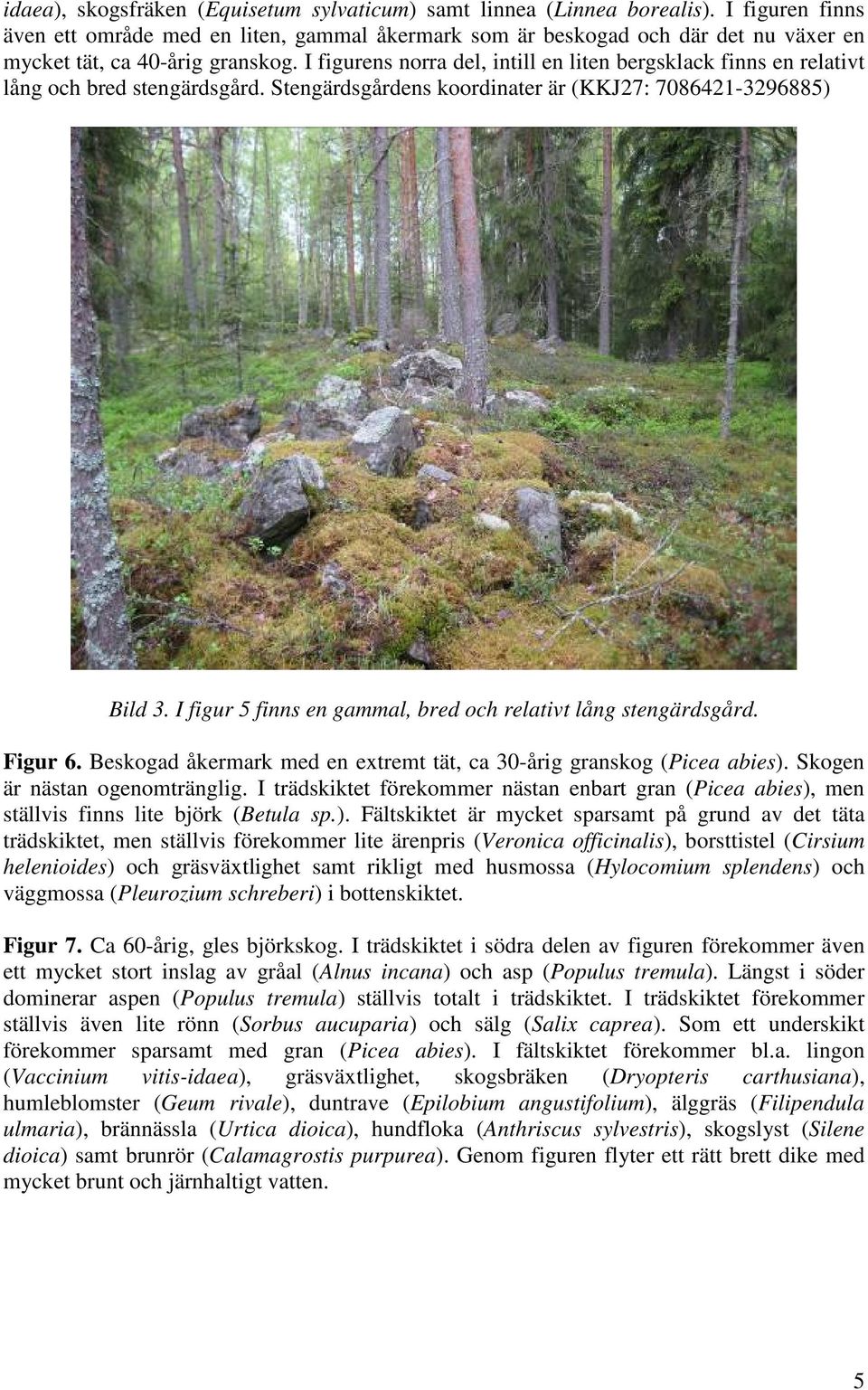 I figurens norra del, intill en liten bergsklack finns en relativt lång och bred stengärdsgård. Stengärdsgårdens koordinater är (KKJ27: 7086421-3296885) Bild 3.
