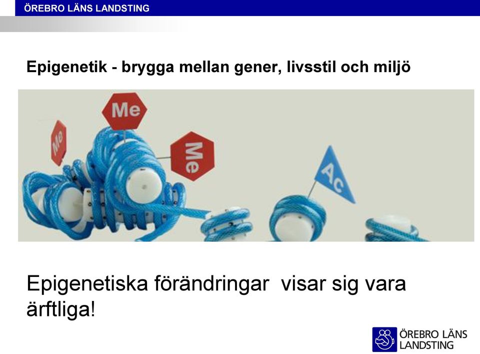 och miljö Epigenetiska