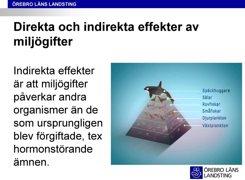 miljögifter påverkar andra organismer än de