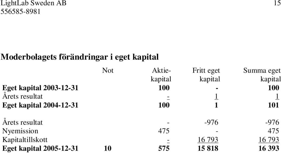 resultat - 1 1 Eget kapital 2004-12-31 100 1 101 Årets resultat - -976-976