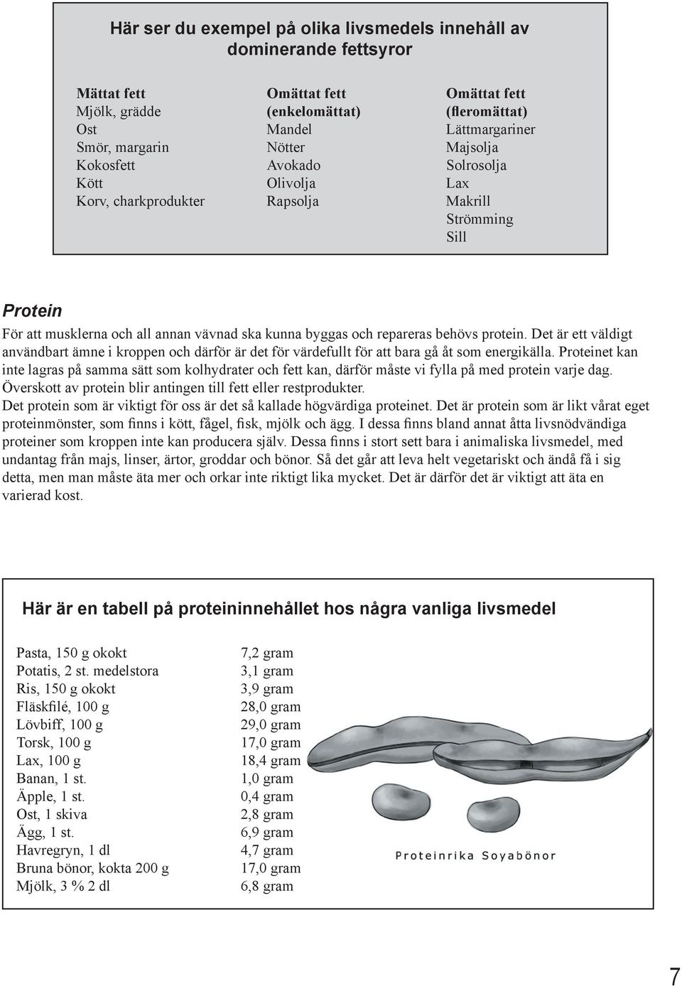 behövs protein. Det är ett väldigt användbart ämne i kroppen och därför är det för värdefullt för att bara gå åt som energikälla.