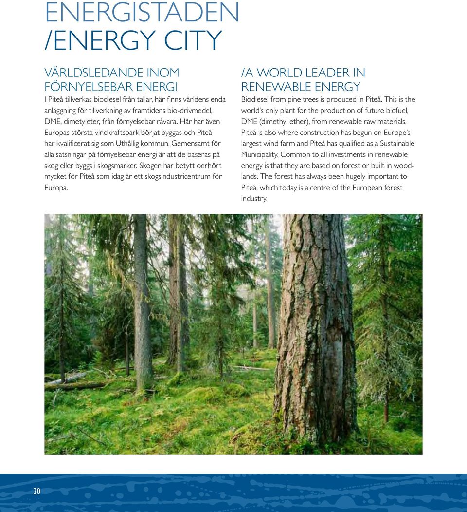 Gemensamt för alla satsningar på förnyelsebar energi är att de baseras på skog eller byggs i skogsmarker. Skogen har betytt oerhört mycket för Piteå som idag är ett skogsindustricentrum för Europa.