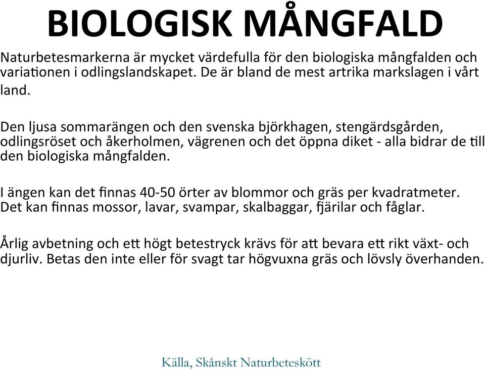 Den ljusa sommarängen och den svenska björkhagen, stengärdsgården, odlingsröset och åkerholmen, vägrenen och det öppna diket - alla bidrar de Ull den biologiska