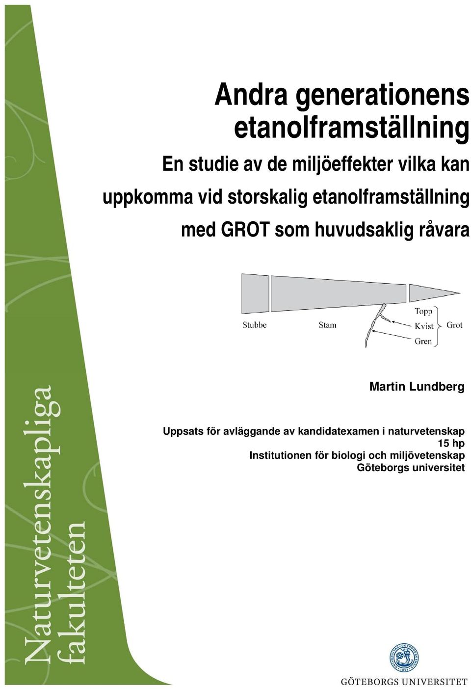 råvara Martin Lundberg Uppsats för avläggande av kandidatexamen i