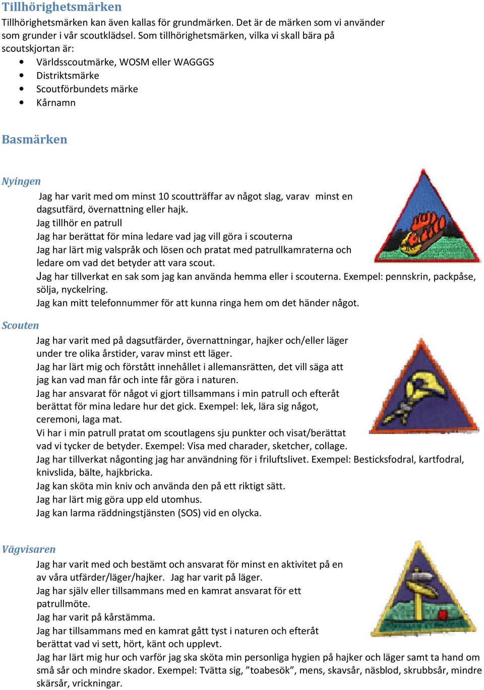 scoutträffar av något slag, varav minst en dagsutfärd, övernattning eller hajk.