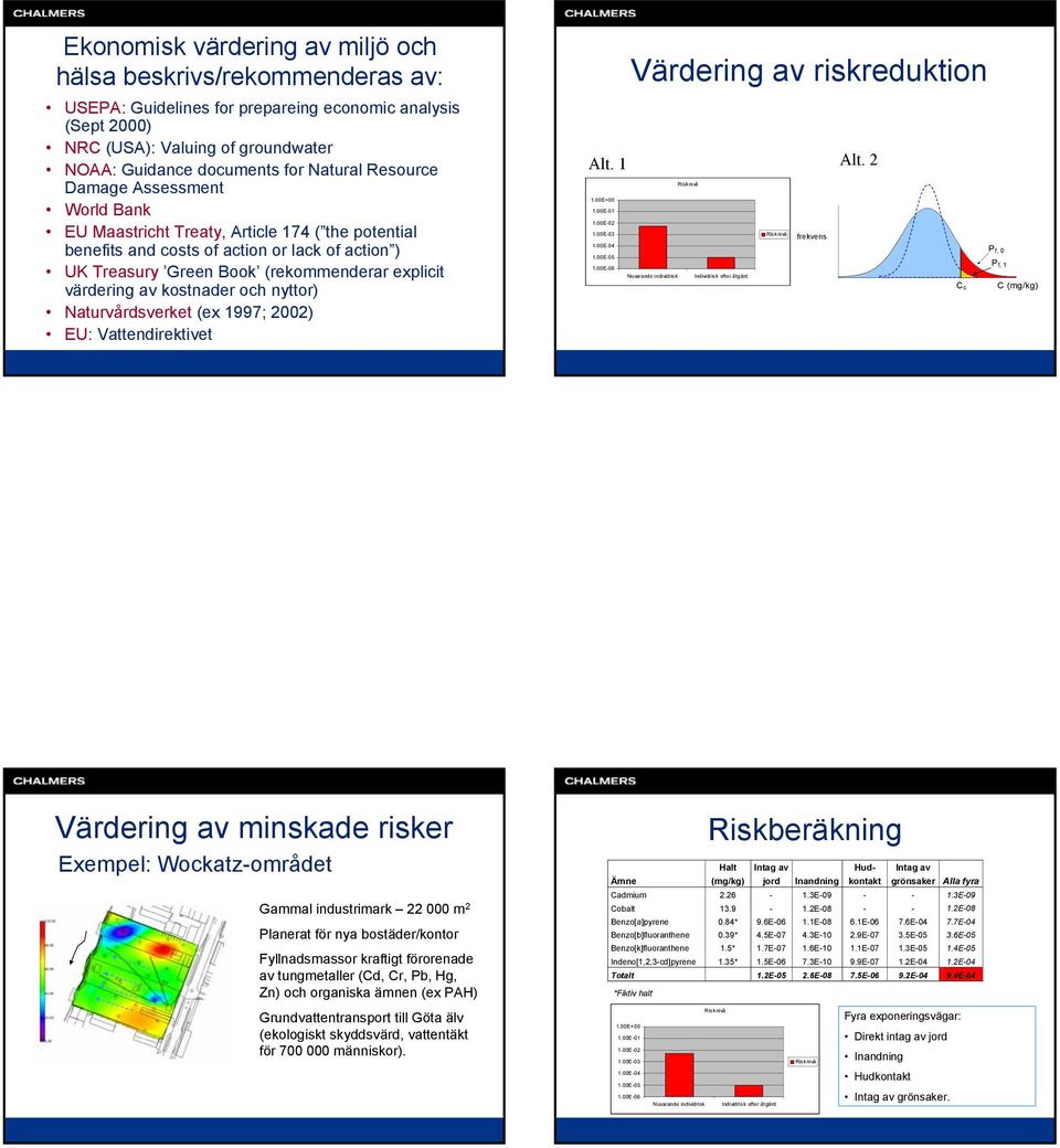 kostnader och nyttor) Naturvårdsverket (ex 1997; 2002) EU: Vattendirektivet Värdering av riskreduktion Alt. 1 Alt. 2 Risknivå 1.00E+00 1.00E-01 1.00E-02 1.00E-03 Risknivå frekvens 1.00E-04 P f, 0 1.