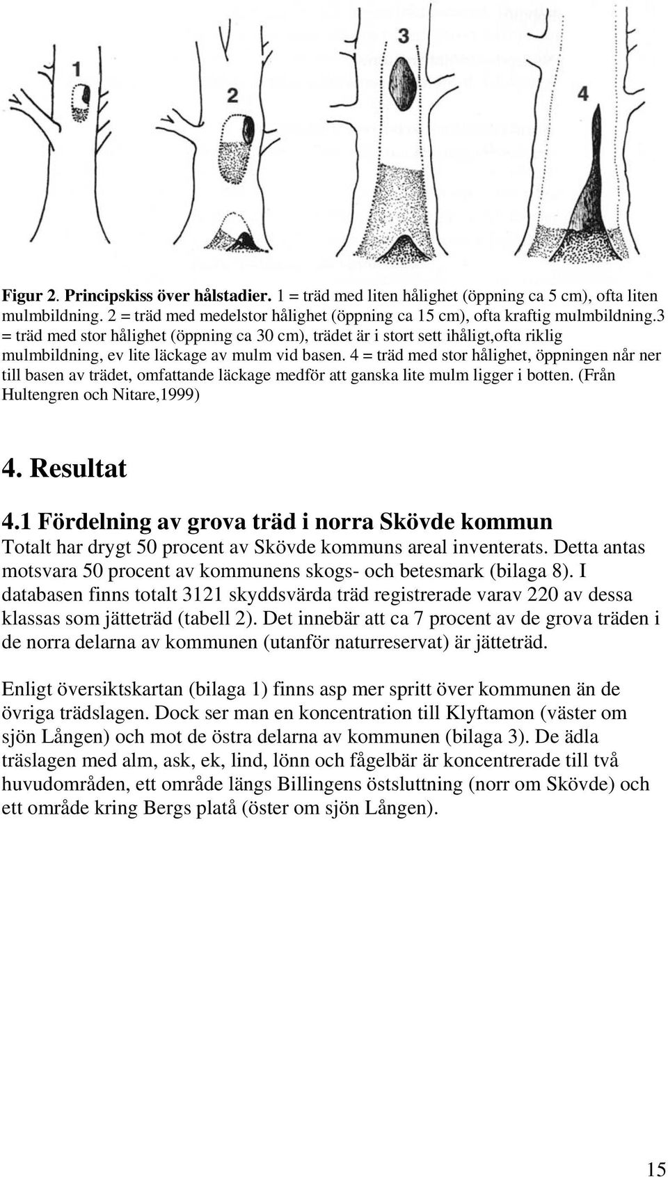 4 = träd med stor hålighet, öppningen når ner till basen av trädet, omfattande läckage medför att ganska lite mulm ligger i botten. (Från Hultengren och Nitare,1999) 4. Resultat 4.