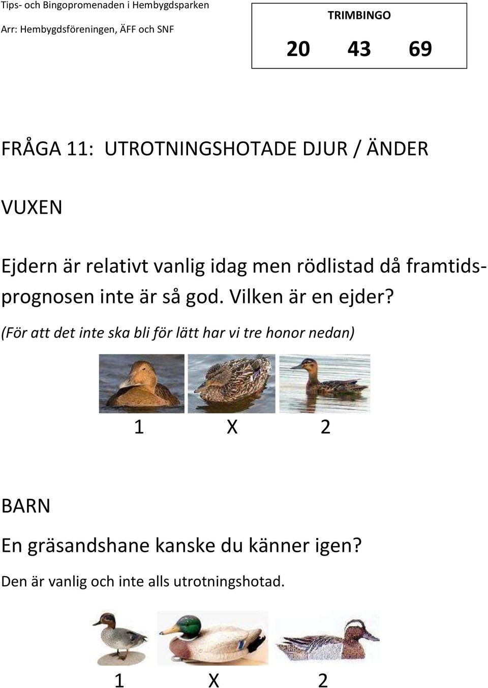 Vilken är en ejder?