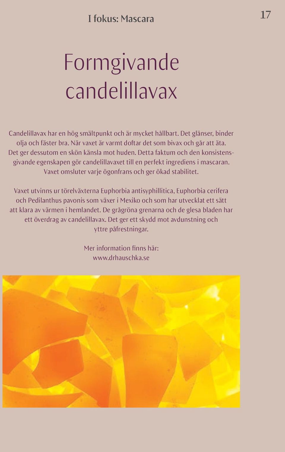 Detta faktum och den konsistensgivande egenskapen gör candelillavaxet till en perfekt ingrediens i mascaran. Vaxet omsluter varje ögonfrans och ger ökad stabilitet.